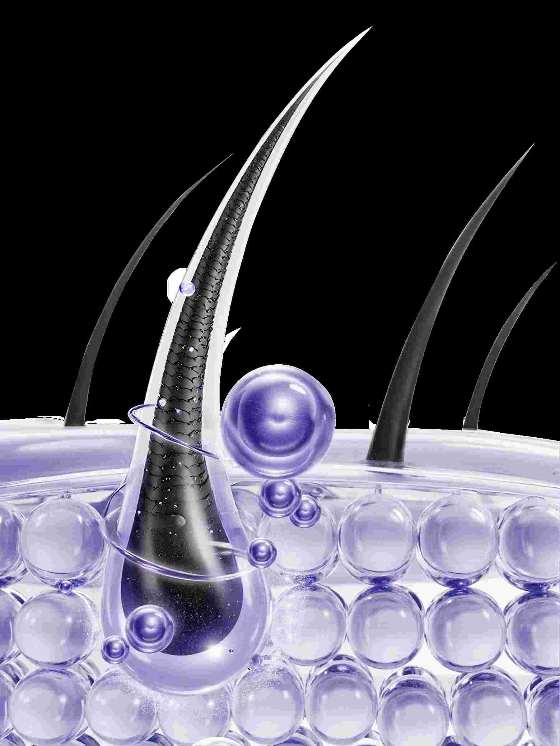 微信图片_20260122094535